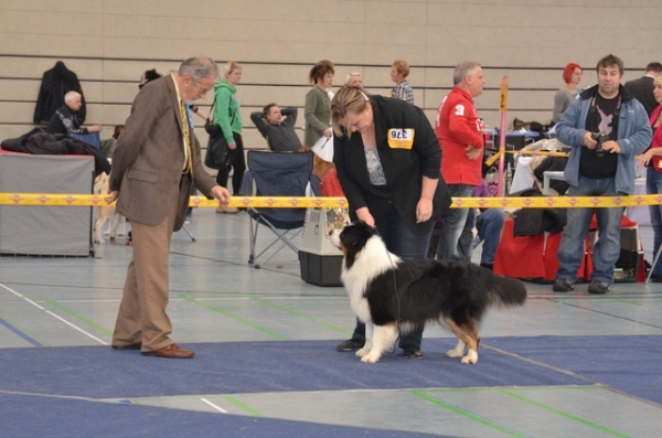 arwin v1 cac bos bob 1. 12. 2012 annaberg 6.jpg